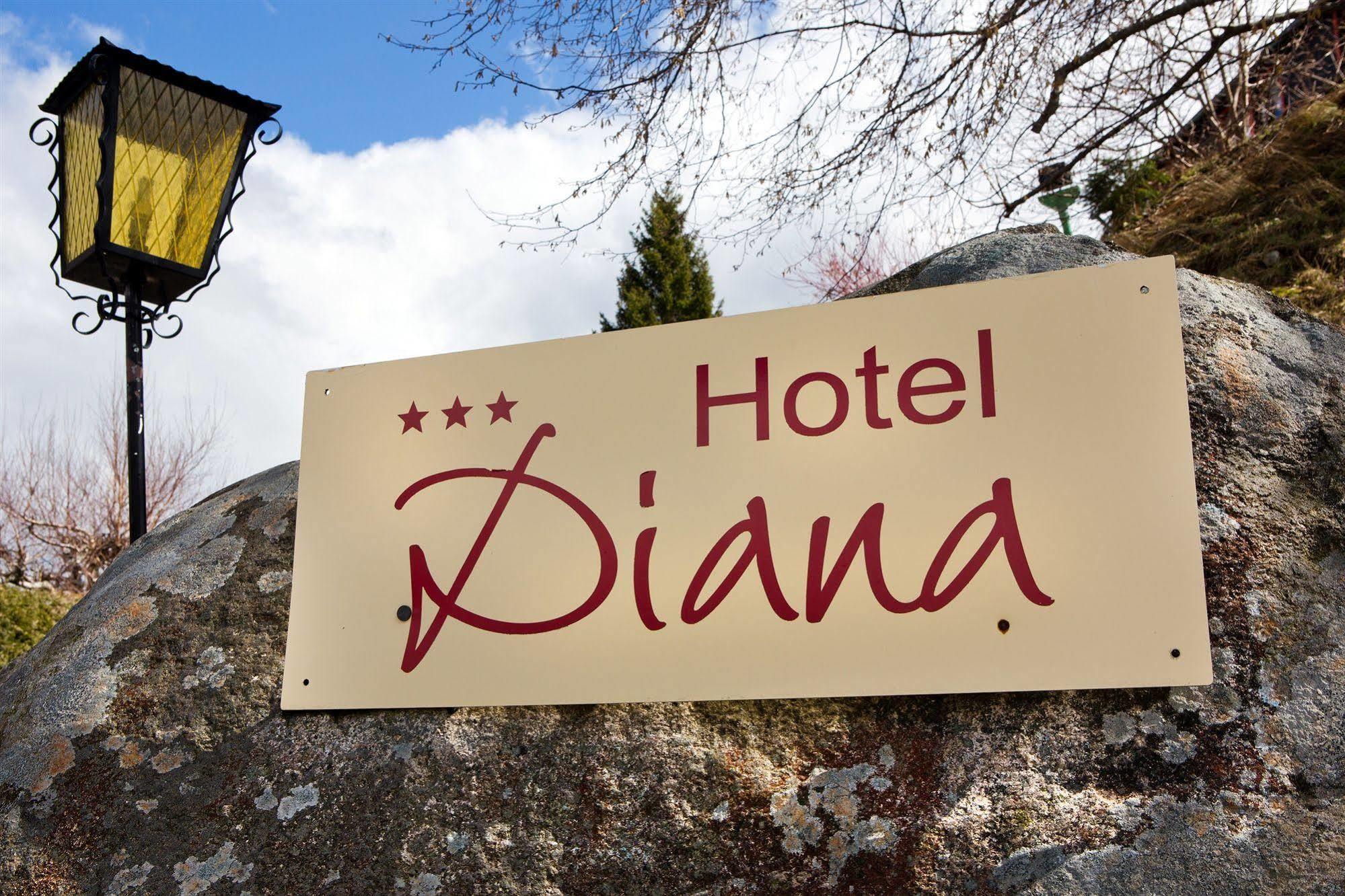 Hotel Diana Фельдберг Екстер'єр фото
